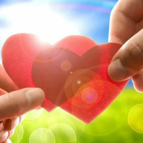 สมาชิกหมายเลข 6317593