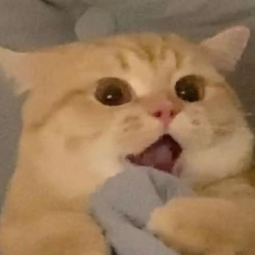 สมาชิกหมายเลข 6853704