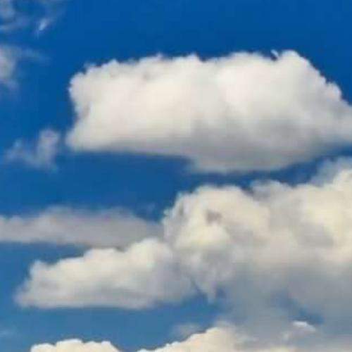 สมาชิกหมายเลข 6977530