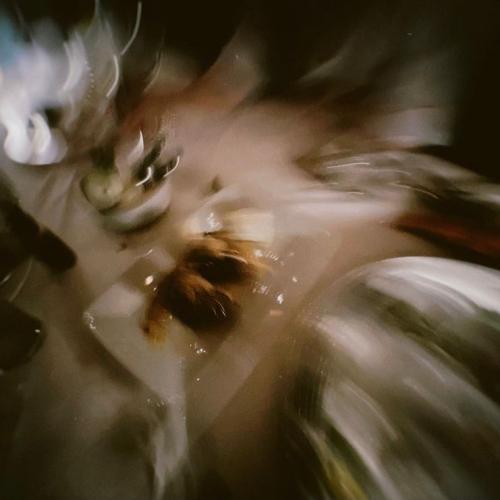 สมาชิกหมายเลข 6997351