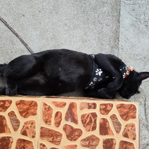 สมาชิกหมายเลข 3845173