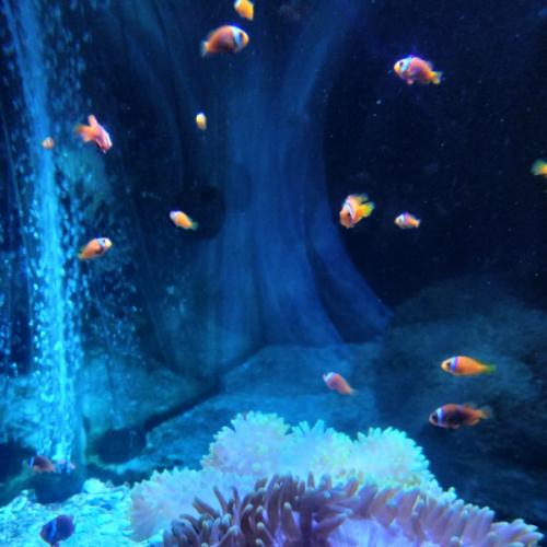 สมาชิกหมายเลข 6238014