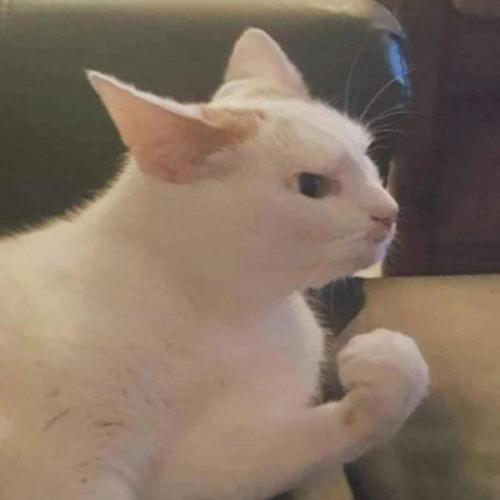 สมาชิกหมายเลข 8409593