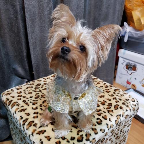 สมาชิกหมายเลข 4104108