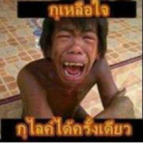 สมาชิกหมายเลข 4889898