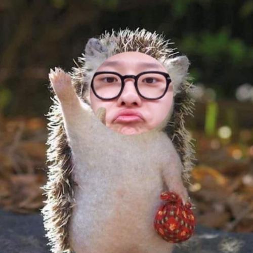 สมาชิกหมายเลข 3630339