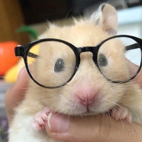 สมาชิกหมายเลข 5589052