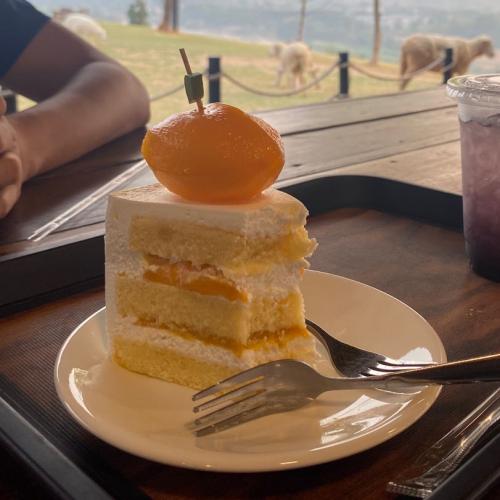 กรรมกรห้องแอร์สาวแก่ท่านหนึ่ง