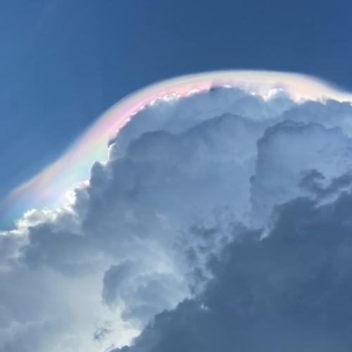 สมาชิกหมายเลข 8226048