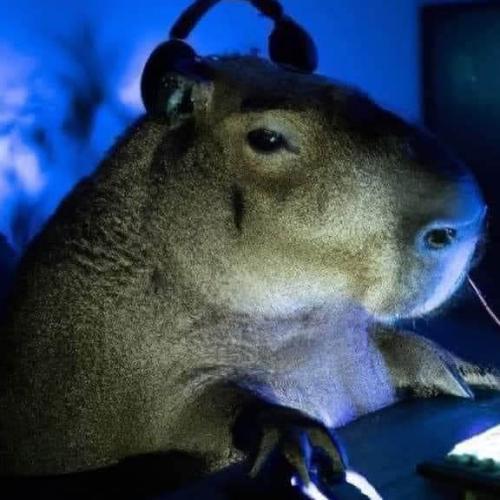 สมาชิกหมายเลข 8624299