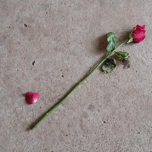 สมาชิกหมายเลข 8723178