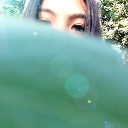 สมาชิกหมายเลข 4125376