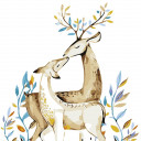 สมาชิกหมายเลข 4549604