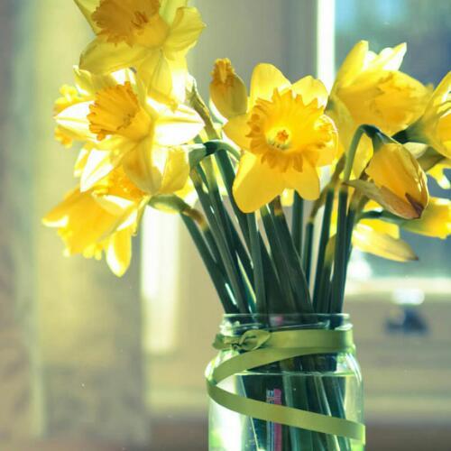 สมาชิกหมายเลข 4549877