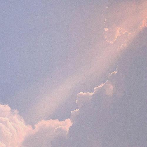 สมาชิกหมายเลข 4544129