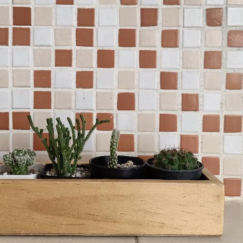 สมาชิกหมายเลข 5282020