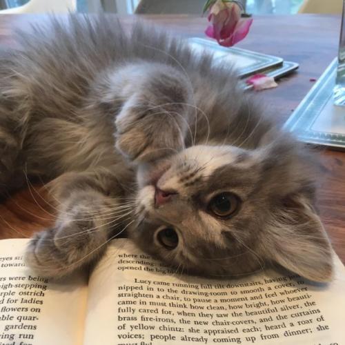 สมาชิกหมายเลข 6318952