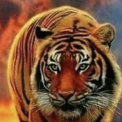 สมาชิกหมายเลข 2115755