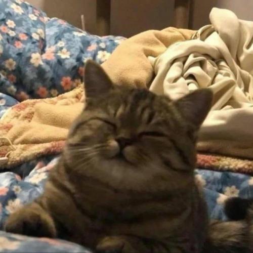 สมาชิกหมายเลข 6916562