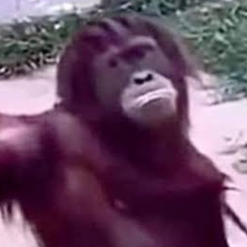 สมาชิกหมายเลข 7764528