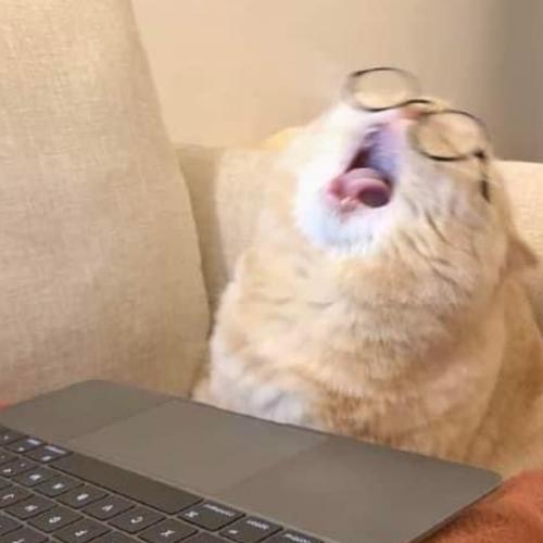 สมาชิกหมายเลข 8443937