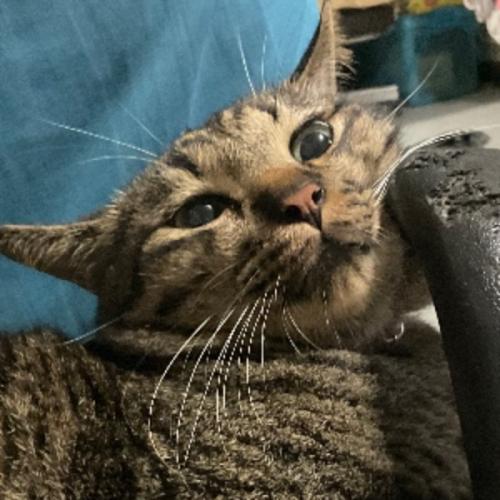 สมาชิกหมายเลข 8639257