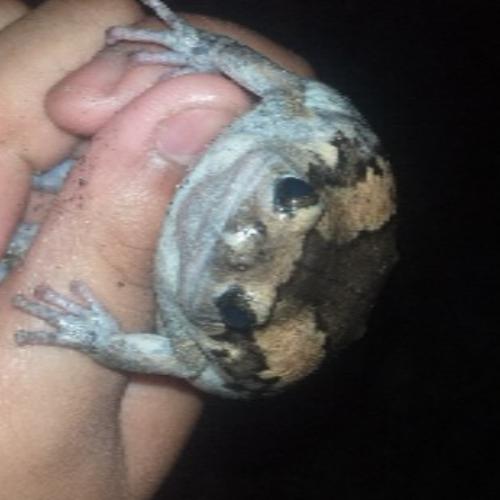 สมาชิกหมายเลข 8728845