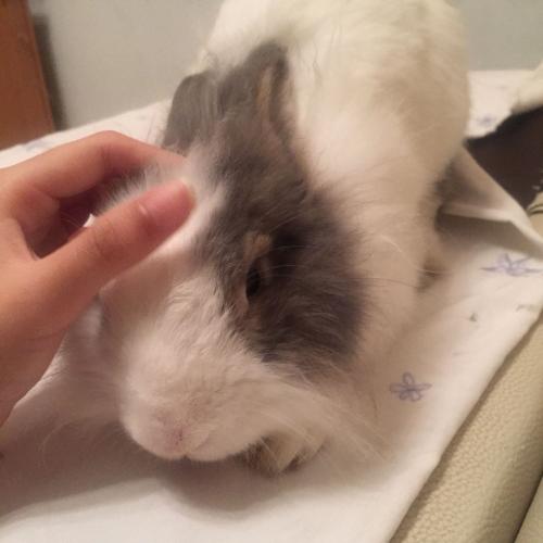 สมาชิกหมายเลข 4219274