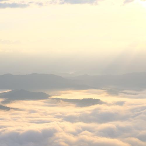 สมาชิกหมายเลข 4568506