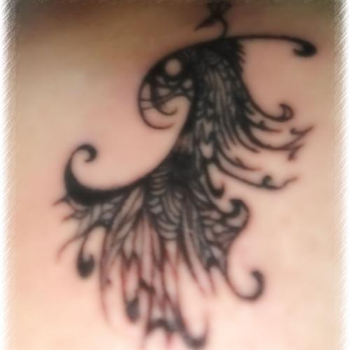 สมาชิกหมายเลข 4686827