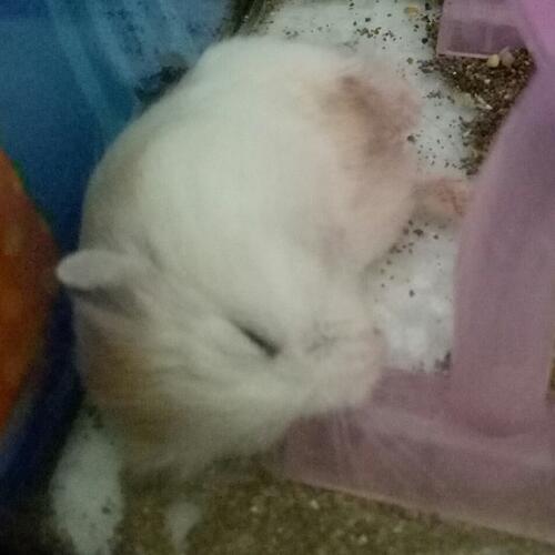 สมาชิกหมายเลข 5285836