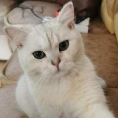 สมาชิกหมายเลข 3599083