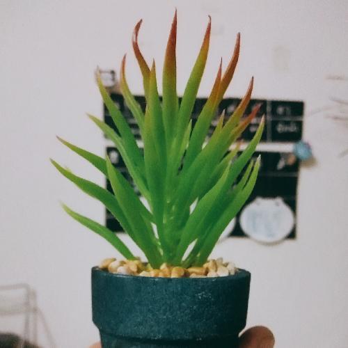 สมาชิกหมายเลข 3830436