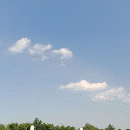 สมาชิกหมายเลข 4196438