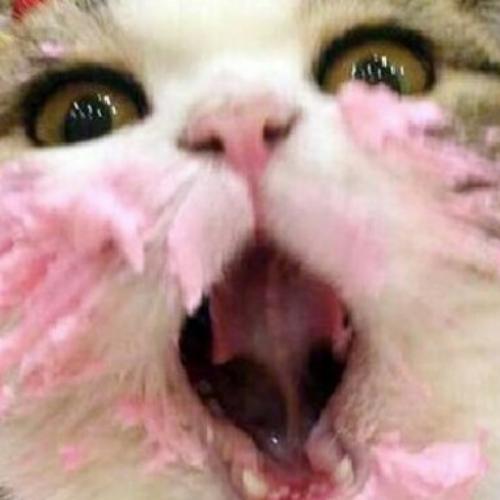 สมาชิกหมายเลข 6319740