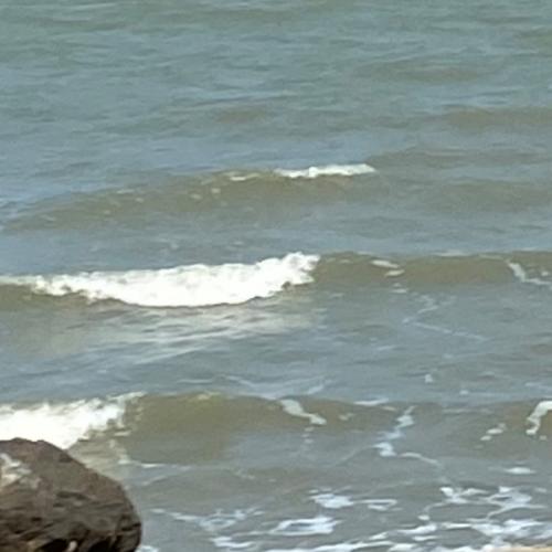 สมาชิกหมายเลข 6721902