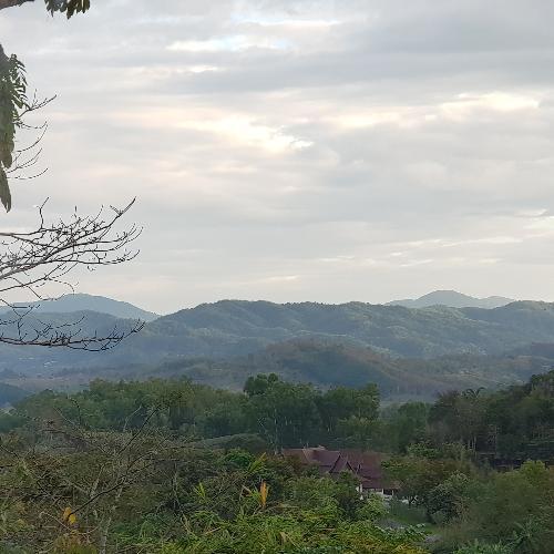 สมาชิกหมายเลข 6988624