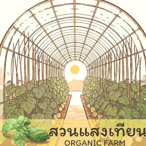 สวนแสงเทียน