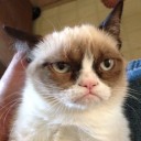 สมาชิกหมายเลข 4126274