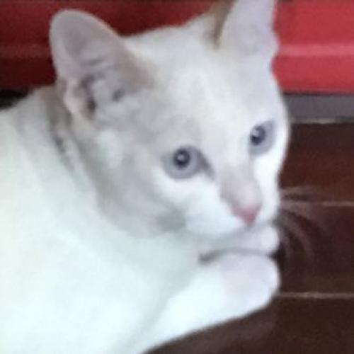 สมาชิกหมายเลข 4545707