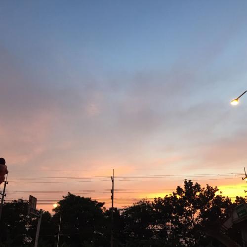 สมาชิกหมายเลข 4550517