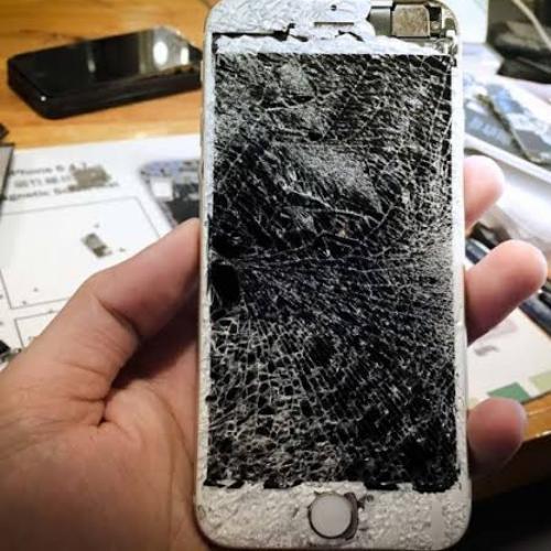 สมาชิกหมายเลข 4885928