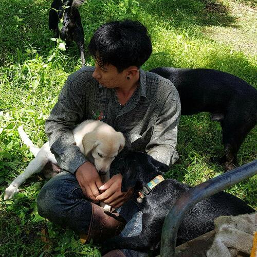 สมาชิกหมายเลข 4889517