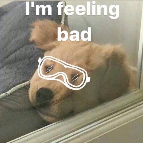 สมาชิกหมายเลข 5261720