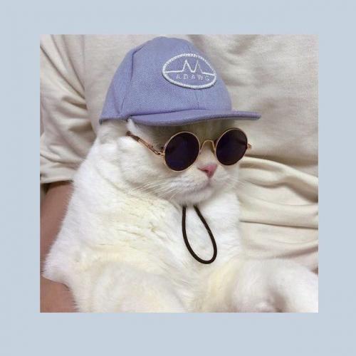 สมาชิกหมายเลข 5298122