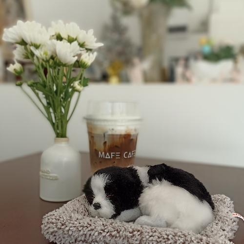 สมาชิกหมายเลข 3916379