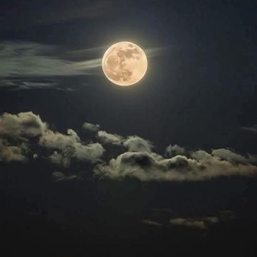 สมาชิกหมายเลข 4061373