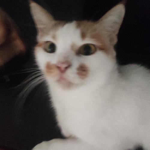 สมาชิกหมายเลข 6501820