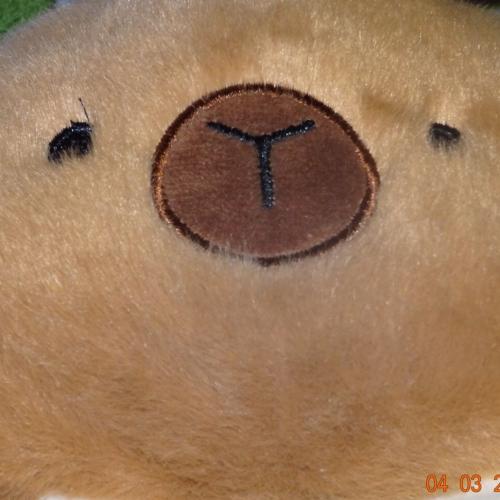 สมาชิกหมายเลข 8730249