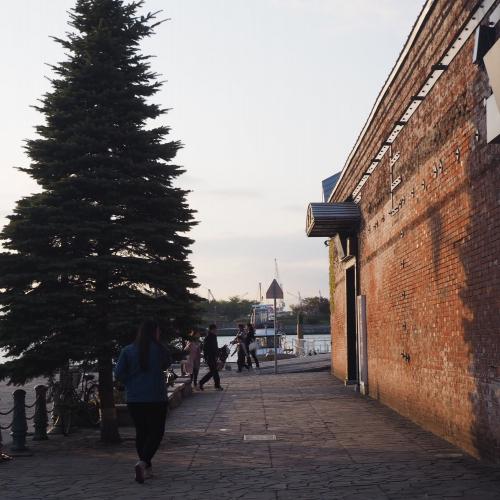 สมาชิกหมายเลข 4550585